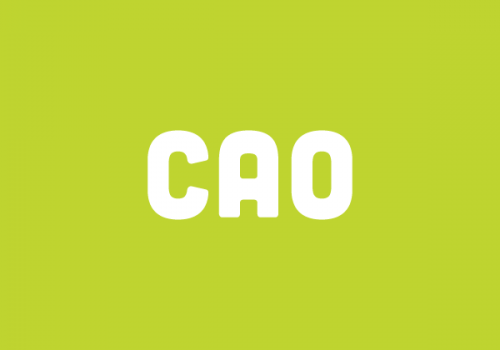 cao blokje vlak groen